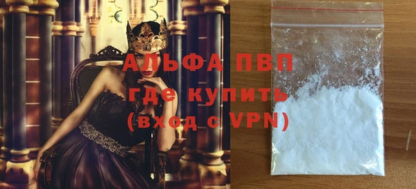 гидра Покачи