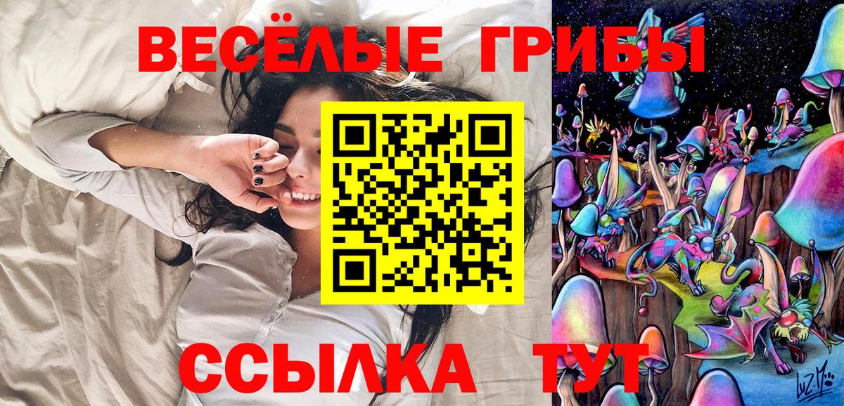 Псилоцибиновые грибы Psilocybine cubensis  Вход с VPN  Кострома 