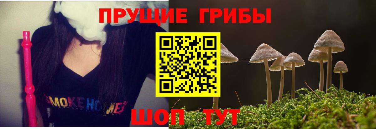 Галлюциногенные грибы прущие грибы Кострома