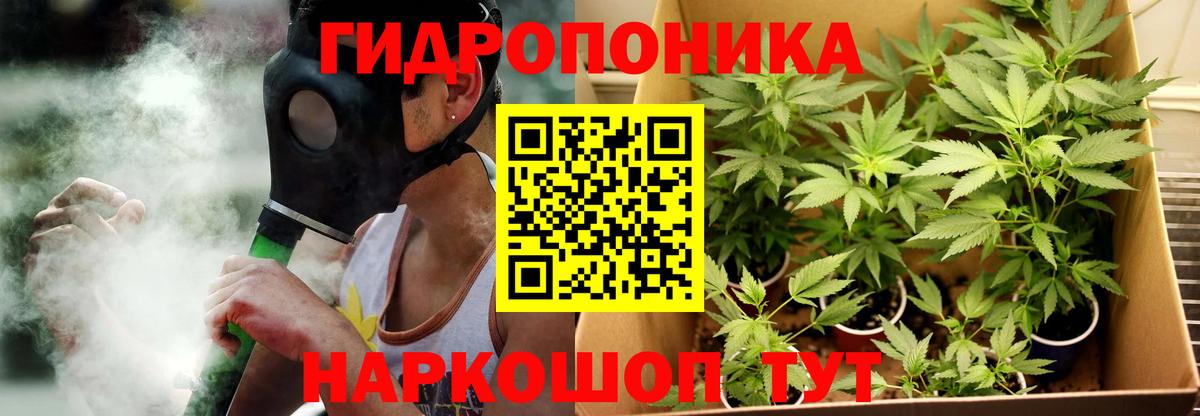 Бошки марихуана White Widow Кострома